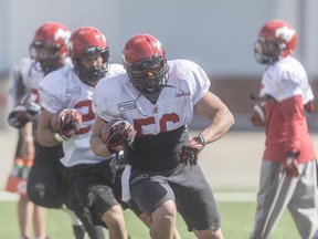 Calgary Stampeders longtime long-snapper Randy Chevrier, centre, is working as hard as ever, focused only on what he's doing amid competition for his job from Windsor's Kyle Tyo.