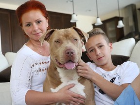 Natalie Bergman and her 14-year-old son Michael fell in love with Luke, a dog they adopted through BARC's Rescue in June.