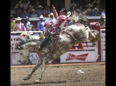Ty Taypotat is tossed about during the bareback event at the Calgary Stampede Rodeo at the Stampede Grandstand in Calgary on Saturday, July 4, 2015.