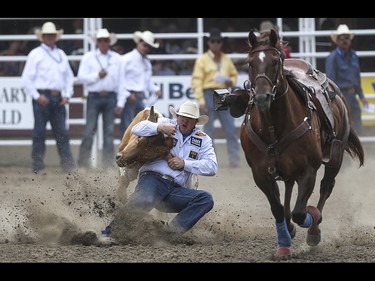 Nick Guy dives on to his steer during the steer wrestling event at the Calgary Stampede Rodeo at the Stampede Grandstand in Calgary on Saturday, July 4, 2015.