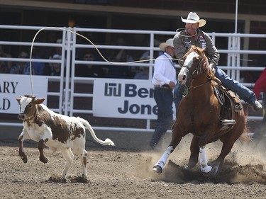 Curtis Cassidy lassos his calf during the tie-down roping event at the Calgary Stampede Rodeo at the Stampede Grandstand in Calgary on Saturday, July 4, 2015.