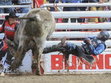 Tanner Byrne falls off Silence Reins after a first place finishing ride during day three bull riding action at the 2015 Calgary Stampede, on July 5, 2015.