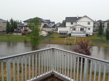 This is Mark Northcott's Langdon backyard. "No water was there yesterday," he says.