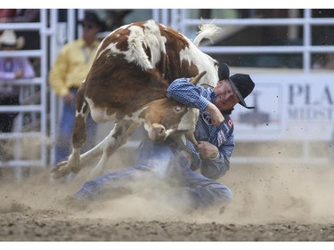 Curtis Cassidy wrestles down this steer for a fifth place finish during Day 9 of steer wrestling rodeo action at the 2015 Calgary Stampede,, on July 11, 2015.
