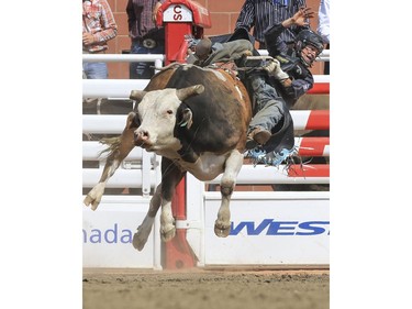 Ty Pozzobon rides Chicken Bone during Day 9 of bull riding rodeo action at the 2015 Calgary Stampede, on July 11, 2015.