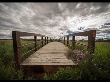 Bridge Nine sits in a field near where it was originally placed before being washed away in flooding that occurred in 2009, at Fish Creek Park in Calgary on Tuesday, July 28, 2015.