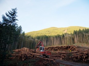 The Ministry of Forests Land and Natural Resource Operations’ enforcement staff should consider attaching stiffer penalties to administrative actions against companies that violate regulations, the province’s forest-industry watchdog says. It also suggested that the Ministry of Forests publish its determinations to make them more of a deterrent. Here, a section of forest is harvested by loggers near Youbou, on Vancouver Island.