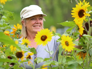 Buff Smith enjoys the balmy Calgary weather gardening in Calgary's oldest community garden in Sunnyside, on July 29, 2015.