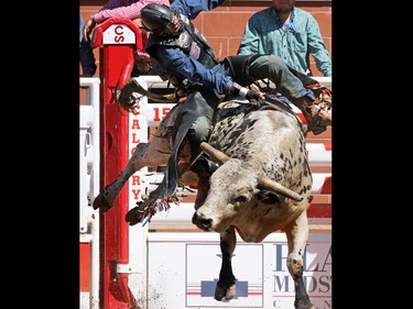 Tanner Byrne from Prince Albert SK rides Fat Boy while competing in the bull riding event during day 1 of the Calgary Stampede rodeo on  Friday July 3, 2015.