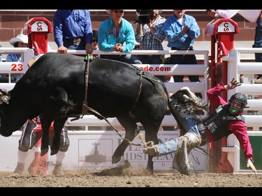 Aaron Roy from Yellow Grass SK flies off Shots Fired while competing in the bull riding event during day 1 of the Calgary Stampede rodeo on  Friday July 3, 2015.