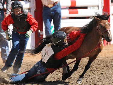 Kids compete in the wild pony race event during day 1 of the Calgary Stampede rodeo on  Friday July 3, 2015.
