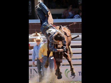 Brendon McCallum from Red Deer gets bucked off Yucatan Margie in the novice bareback event during Day 1 of the Calgary Stampede rodeo on  Friday July 3, 2015.