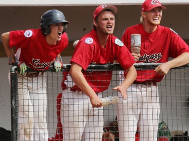 The Calgary Cardinals yell encouragement to their teammates in the Canadian Big League championship game against B.C. on Saturday July 25, 2015. The team went on to win and earned the right to represent Canada at the Big League World Series in South Carolina.