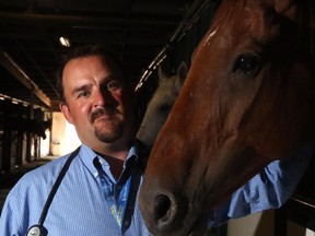 Veterinarian Dr. Greg Evans with Woody the horse, at the chuckwagon barns, at the Calgary Stampede in Calgary, on July 6, 2015.