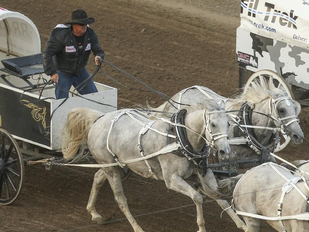 Walters a lateblooming chuckwagon driver after switching from rodeo Calgary Herald