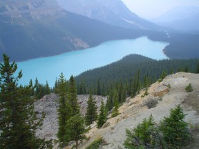 Peyto Lake