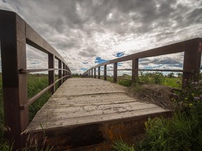 Bridge Nine sits in a field near where it was originally placed before being washed away in flooding that occurred in 2013, at Fish Creek Park in Calgary on Tuesday, July 28, 2015.