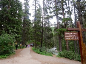 Visitors were back using the Johnston Canyon trail Wednesday. It was closed for almost a week after a young boy was hit and injured by a tree.