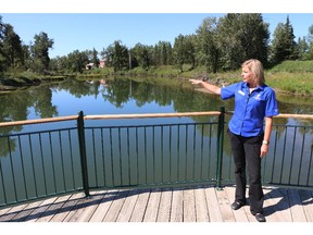 Park interpreter Barbara Kowalzik describes the ongoing rebuilding and repair in the Inglewood Bird Sanctuary on the opening day Thursday.  This bridge over the lagoon area was damaged in the flood. The sanctuary has been under repair and rebuilding since the 2013 flood.