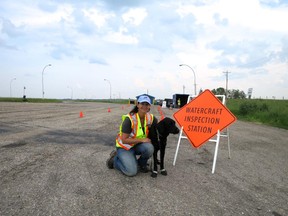 Cindy Sawchuk, invasive species conservation lead with Alberta Environment and Parks, at a boat inspection station with Hilo, one of the three mussel-sniffing dogs in the province.