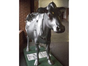 The "Where are the Cows?" +15 tour for History Calgary Week on Friday, July 31, 2015 will visit some of the cows that used to stand on Calgary streets, like this one.