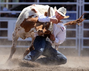 Cody Cassidy of Donalda, Alberta during the Calgary Stampede Steer Wrestling Championship.