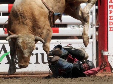 Bull rider Chandler Bownds is thrown from Excessive Force during the Bull Riding Championship rodeo at the Calgary Stampede in Calgary, on July 7, 2015.