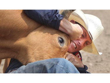 Cody Cassidy of Donalda. Alberta drags his prey to the dirt during the Steer Wrestling competition at the Calgary Stampede Rodeo Wednesday July 9, 2015.