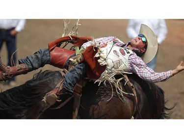 Richie Champion of Woodlands, Texas rides Front Page during the Bareback competition at the Calgary Stampede Rodeo Wednesday July 9, 2015.