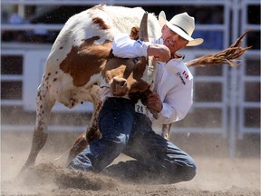 Cody Cassidy of Donalda takes down his steer during the Calgary Stampede rodeo on Thursday.