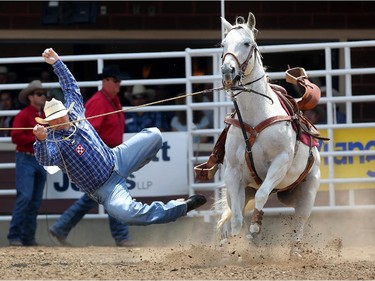 CALGARY.;  July 10, 2015, 2015  -- Clint Robinson from Spanish Fork, Utah falls off his horse during the Calgary Stampede Tie-Down Roping Championship. Photo Leah Hennel/Calgary Herald