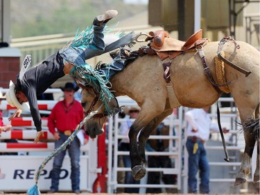 CALGARY.;  July 10, 2015, 2015  -- Jace Colley gets bucked off Which Rocket during the Calgary Stampede Novice Saddle Bronc Championship. Photo Leah Hennel/Calgary Herald