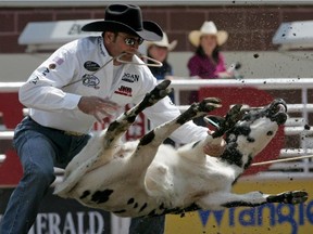 Stran Smith of Childress, Texas, tosses his calf during the tie-down roping event at the Calgary Stampede a few years back.