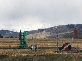 Cows graze alongside pumpjacks in Alberta's foothills of the Rocky Mountains near the drilling rig for Legacy Oil and Gas southwest of Turner Valley on April 28, 2014.