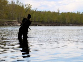 Trevor Aikman fishes the Bow River under the Glenmore Trail bridge, a traditionally popular spot for fly-fishing in Calgary, on May 20, 2014.