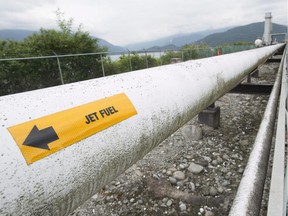 Applicants such as Kinder Morgan don't need unnecessary setbacks caused by an ill-timed government appointment, says the Herald editorial board.