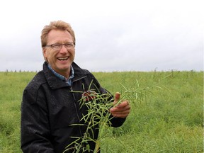 Terry Young with his canola crop which will be ready to harvest in about 10 days.