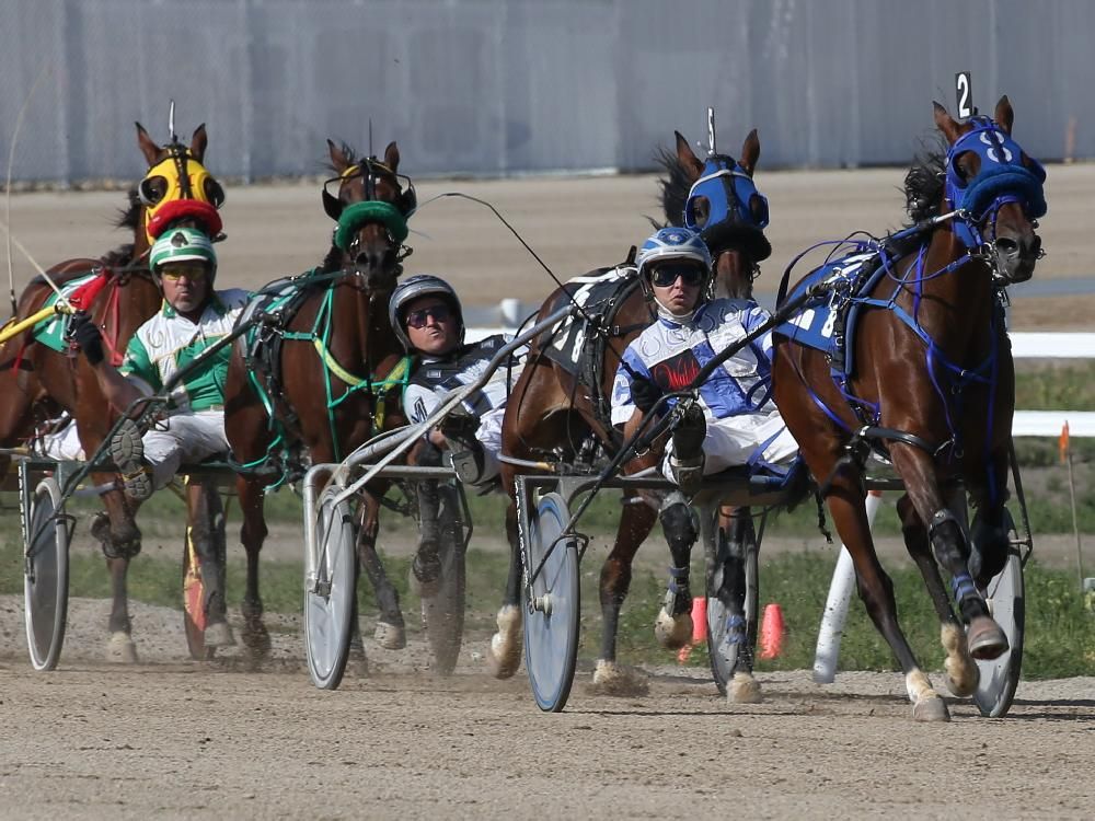 Century Downs looks to pick up where Calgary horse racing left off ...