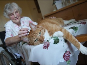 A senior enjoys playing with a cat. Reader says even if seniors are responsible pet owners, they must give up their pets if others around them are irresponsible.