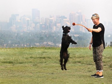 Calgary's Judy Riege and her standard Schnauzer Marley played along the ridge of the Edworthy Park off leash area as the downtown skyline was obscured by thick smoke on August 24, 2015. The smoke settled in on Calgary from wild fires in BC and Washington State.