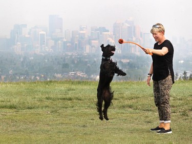 Calgary's Judy Riege and her standard Schnauzer Marley played along the ridge of the Edworthy Park off leash area as the downtown skyline was obscured by thick smoke on August 24, 2015. The smoke settled in on Calgary from wild fires in BC and Washington State.