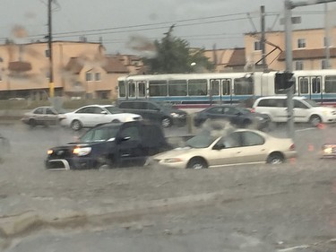 Danny Rehbein shared this picture from 20th Ave NE and 36th St NE.