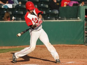 Okotoks Dawgs infielder Brian Sisler catches the ball on the tip of his bat during play against the Medicine Hat Mavericks at Seaman Stadium in Okotoks on Thursday, Aug. 6, 2015. The Okotoks Dawgs played the Medicine Hat Mavericks in game five of a five game series to determine which team will continue on in Western Major League Baseball playoffs.