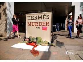 CALGARY.;  AUGUST 11, 2015 -- Niki Middleton models for PETA as a bloody crocodile outside Holt Renfrew's downtown Calgary location, to protest Hermes.  Photo Leah Hennel/Calgary Herald (For City story by ?)