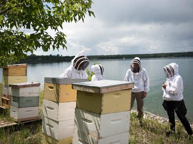 Members of Bees4Communities wait to inspect a hive.