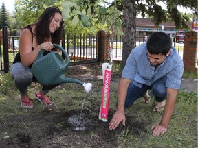 Jayne Gilbert and Sabastian Benavides, both relief support workers for the Alex Abbeydale Place, water one of the 30 trees and shrubs that were planted earlier Sunday.