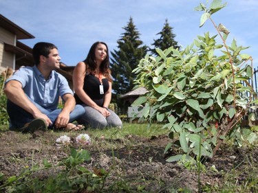 Sabastian Benavides and Jayne Gilbert, both Relief Support Workers for the The Alex Abbeydale Place, helped plant some of the 30 trees and shrubs that were planted earlier in the day by a couple of dozen volunteers. The plants were donated by local businesses.