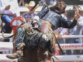 Connor Hamilton of Calgary gets tail whipped in the face as he rides Xrated Dancer during day 9 of novice bareback action at the 2015 Calgary Stampede, on July 11, 2015.