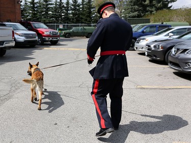 Constable Will Glover attends his k9 partner Marco's grad from the K9 Unit training in Calgary.