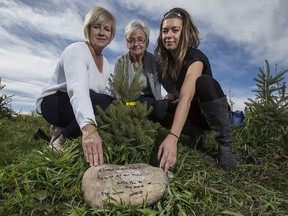 Twyla Nagel, from left,  Sylvia Brown, and Jeri Nagel, joined thousands of others to remember their passed loved ones, for whom a tree has been planted for, at 19th annual dedication of trees and McInnis & Holloway Funeral Homes' annual memorial forest weekend at Fish Creek in Calgary, on September 19, 2015.